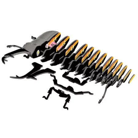 Збірна 3Д модель Зоопарк: Жук-олень - Зображення 3